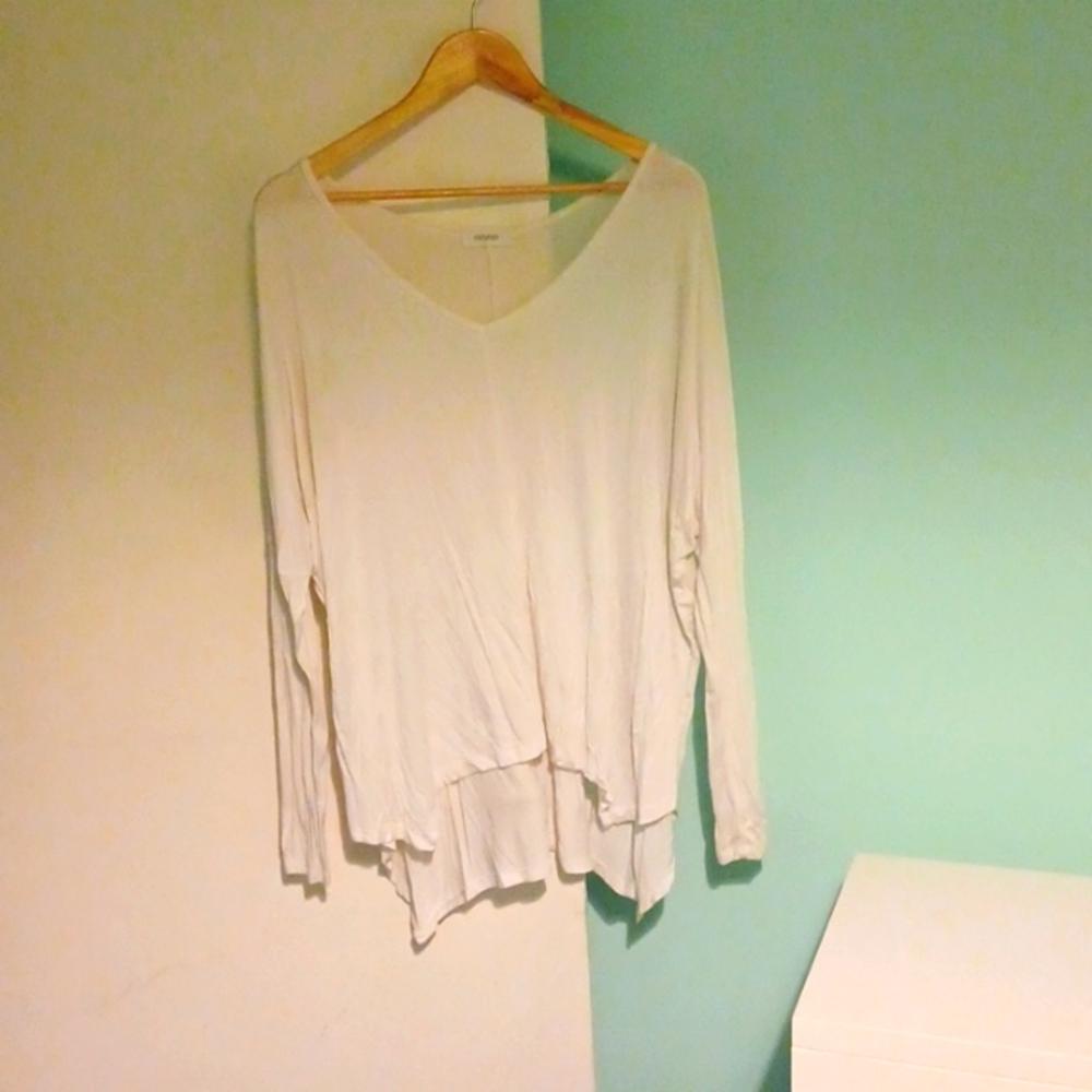 5 For $15 Oversized v-neck long sleeve shirt size large